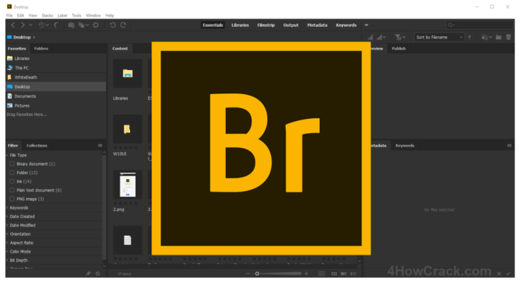 Adobe Bridge CC Full Version Download