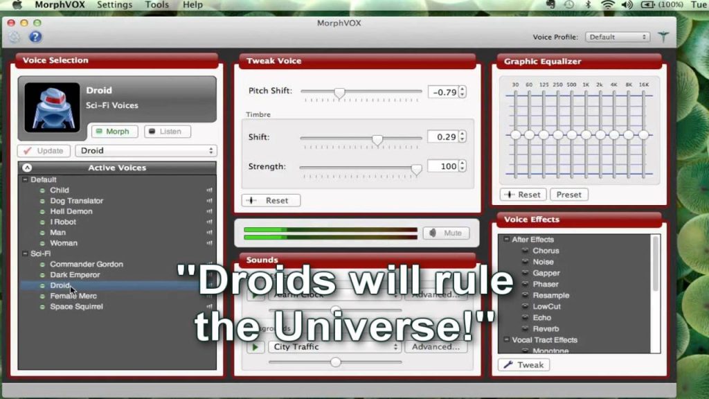 MorphVOX Pro